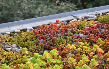 the cost of The Mythe green roof installation