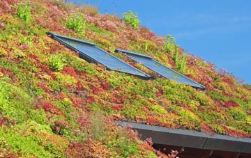 The Mythe living roof systems